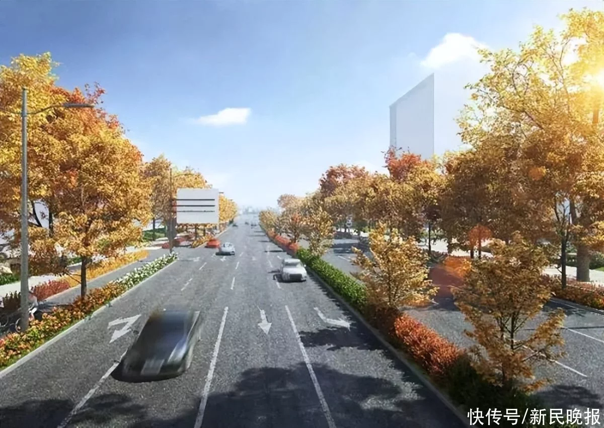 4車道變6車道！高科東路（華東路—外環線）改建工程進入道路主體施工階段(圖3)