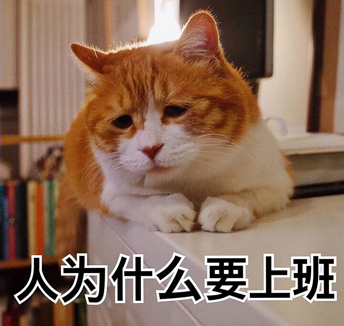 2022小型洗碗機(jī)到底怎么選？這五點(diǎn)讓你瞬間學(xué)會(huì)(圖1)