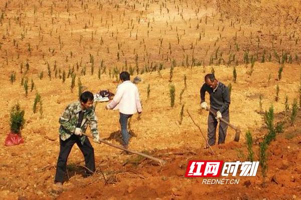 衡南鐵腕整治非法采洗山砂工作(圖2) 衡南鐵腕整治非法采洗山砂工作(圖2)